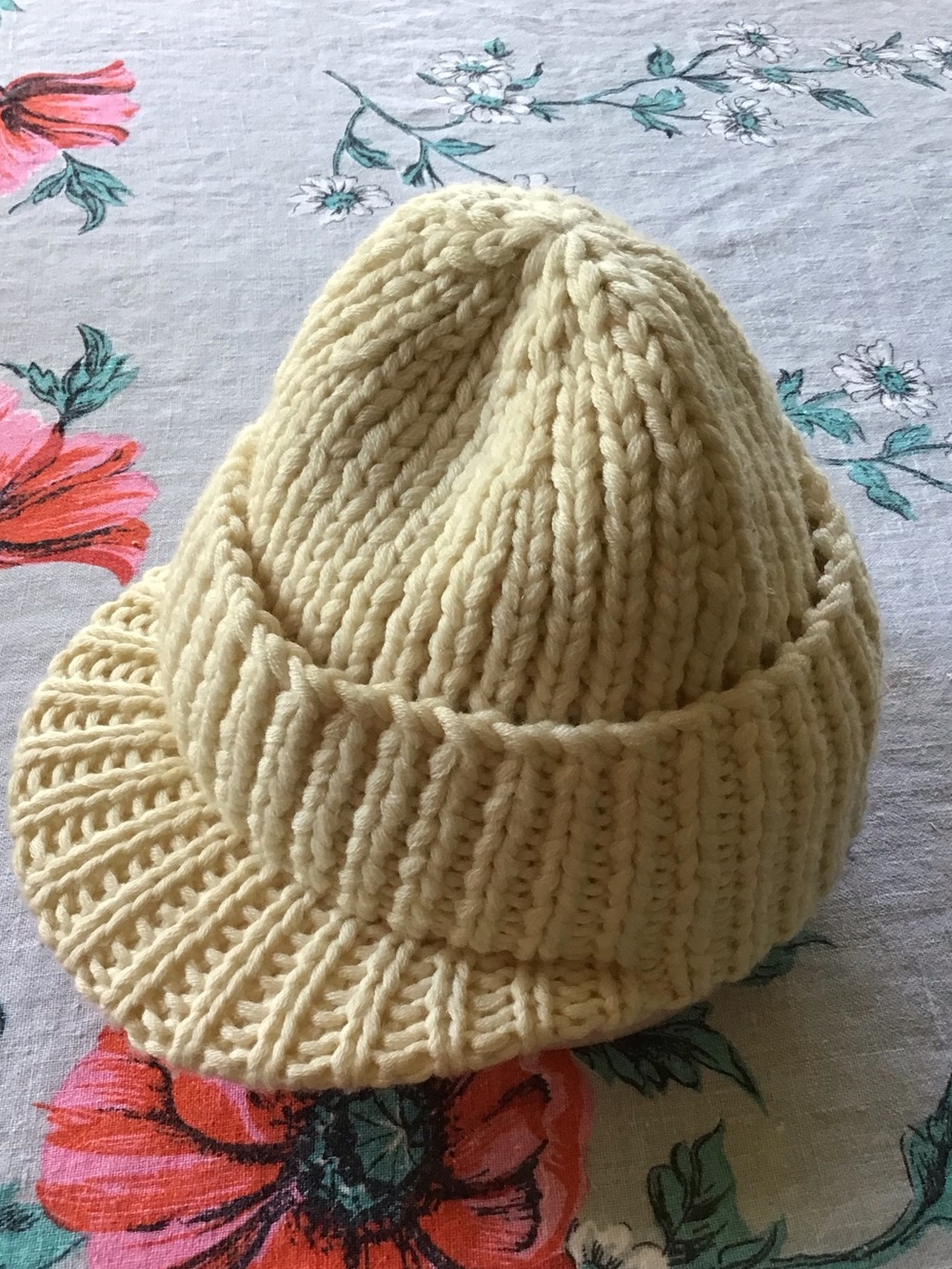 Club Monaco Knit Hat